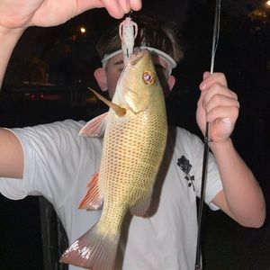 Meet your Posher, Tristan